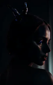 .5