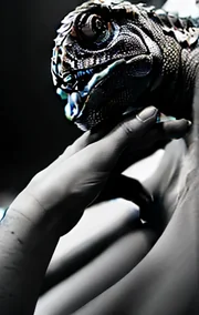 Lust
