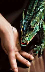 The Dragon's Collar
