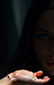 The Vampire Next Door