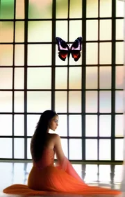 The Last of Hue's Prisoners