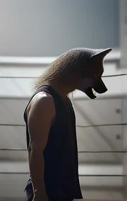 The Wolves