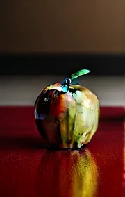 A New Life