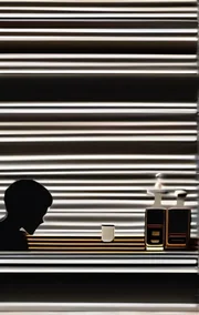 The Video Tapes
