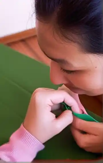 how-to-write-a-villanelle